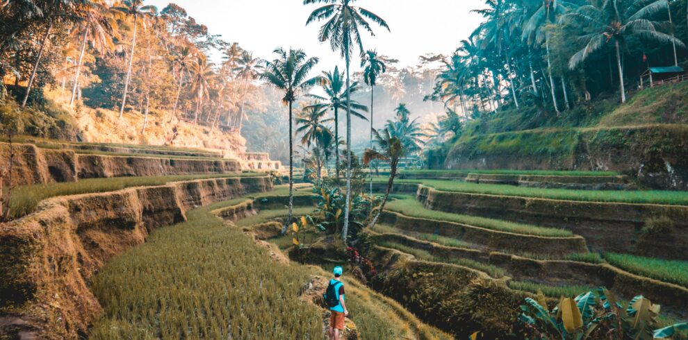 Scenic Tegalalang Rice Terraces in Bali